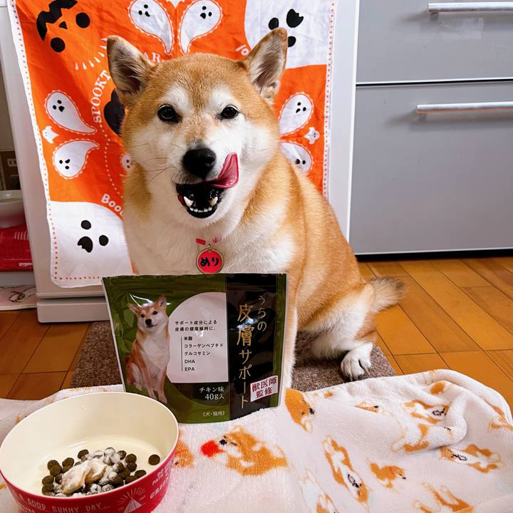 05f76e14 2dd7 42d3 a277 62c00ababcb0 1697417216099