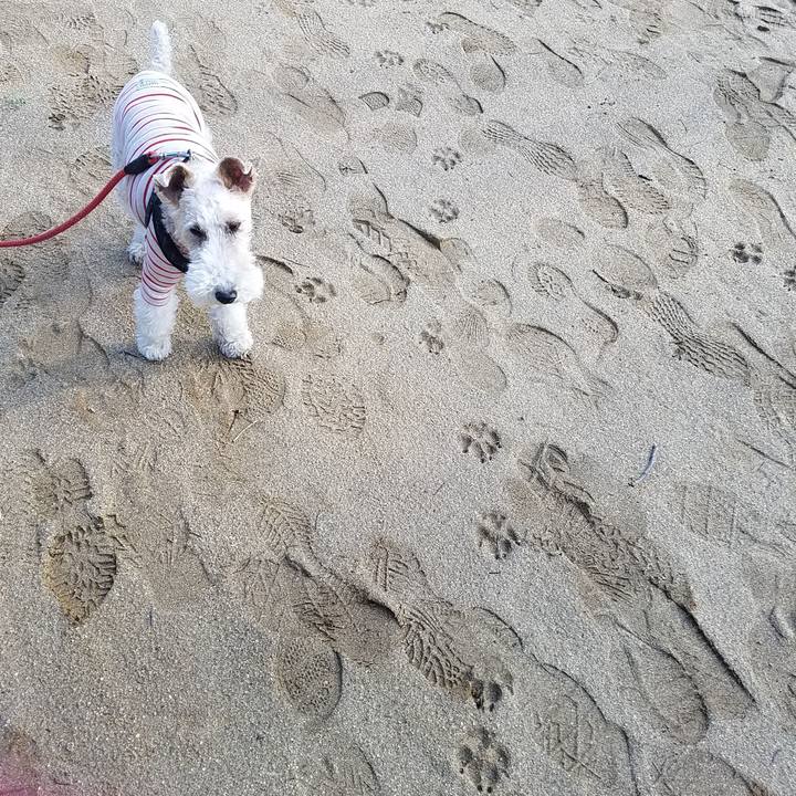 05f7e1e8 765c 4938 942a 650ba324f67b 1551513438864