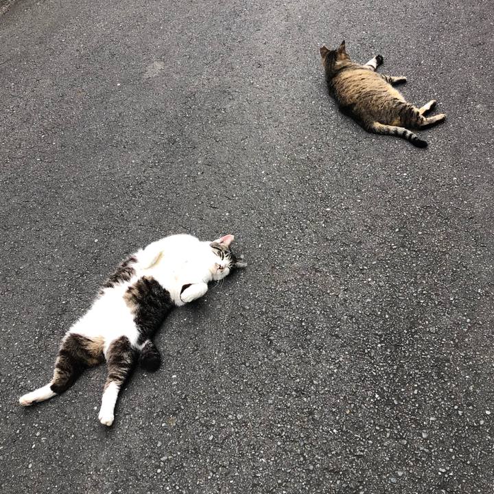 05f7f1bb 4e08 496b 9217 7baaf07c48a5 1595581254049