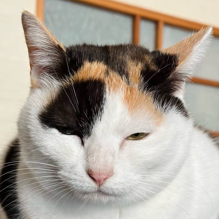 05f815f3 f782 4897 a975 dc17ac369f6d 1673056837648