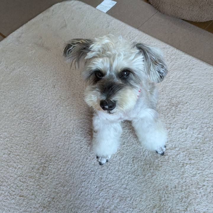 05f82904 08d6 4700 ad15 28a1a243f282 1756963392228