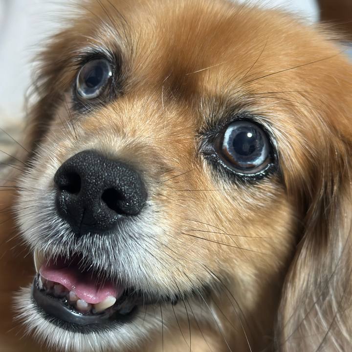 05f82e4d 84da 4ecb 9e75 dc0b585c61ae 1727988484545