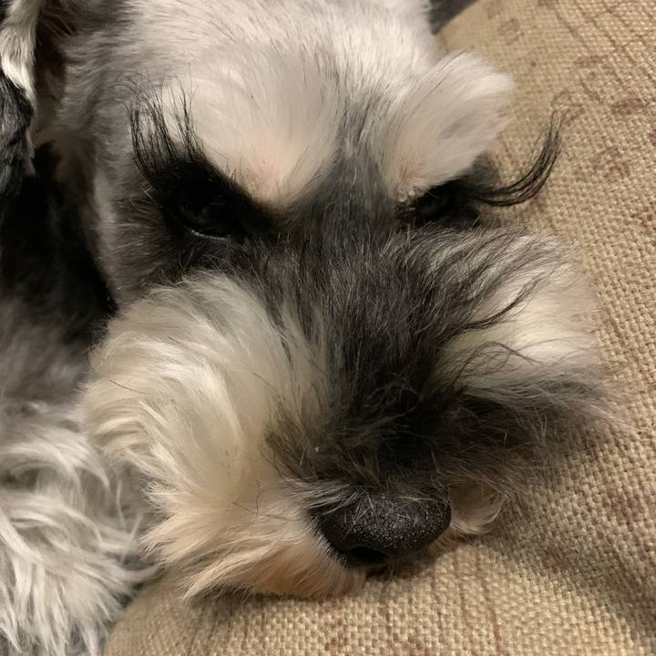 05f830f0 be33 43b1 80dc 3b46d127bc83 1635159004147