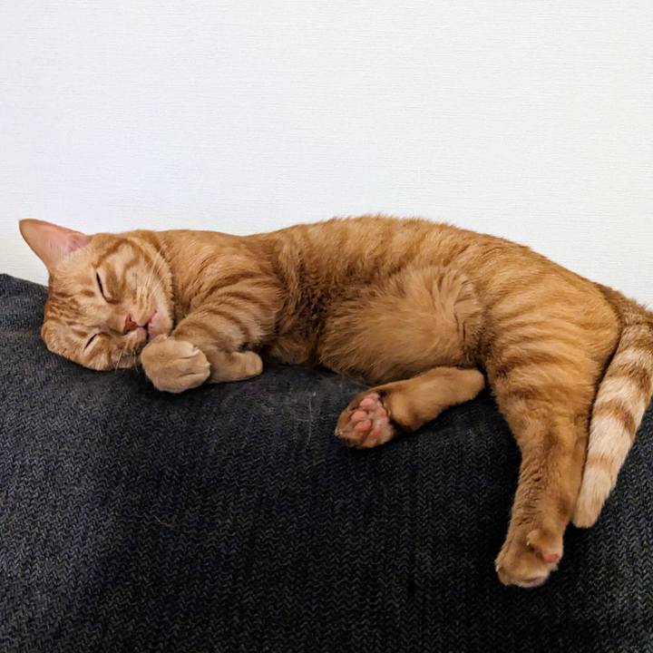 05f8414a 5566 49f4 98f1 23895758a761 1685242570020