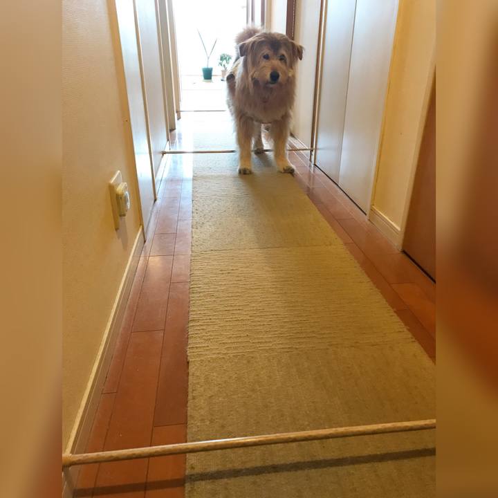 05f8420a 2767 455d ad09 a13952230fc1 1649160472011