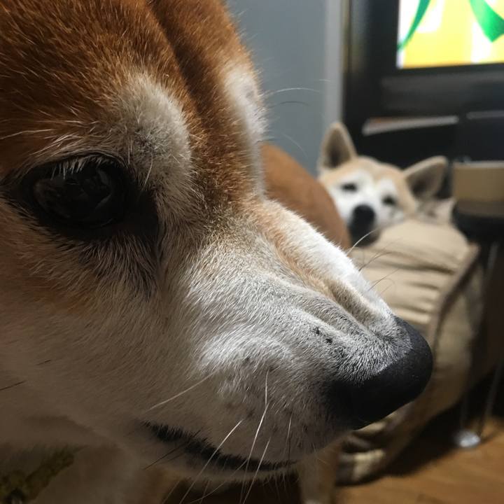 05f84572 99a7 4e25 82b4 4e4350bbe4a8 1509109241695