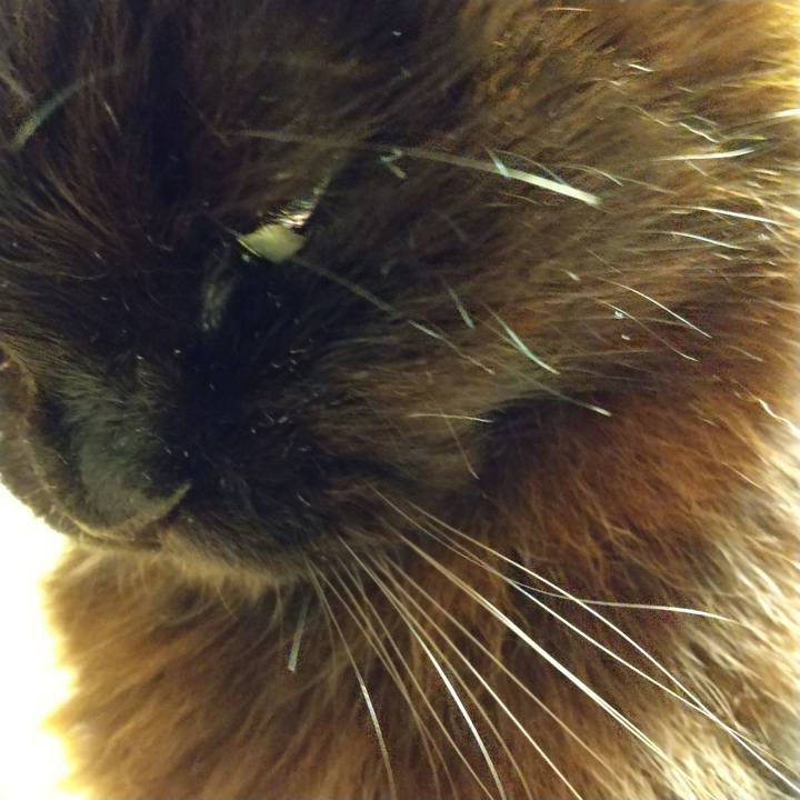 05f846aa b544 4746 bc28 19525b202ba5 1615368918731