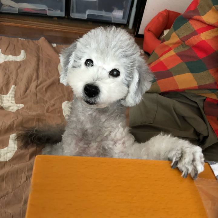 05f86ab9 d9e5 4842 b1e0 0c38ff24109e 1571018250152