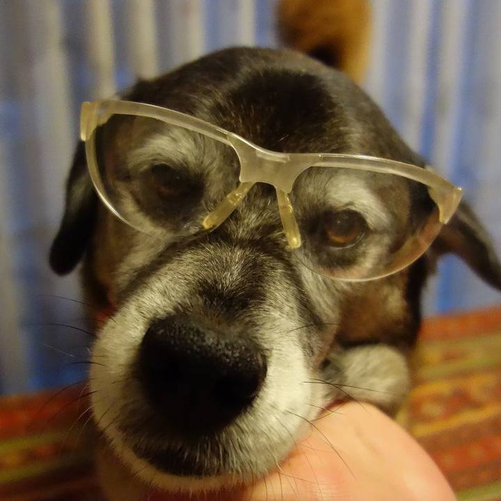 05f8981d 959c 4f5e 879e 6d329cf22b6d 1523702538914