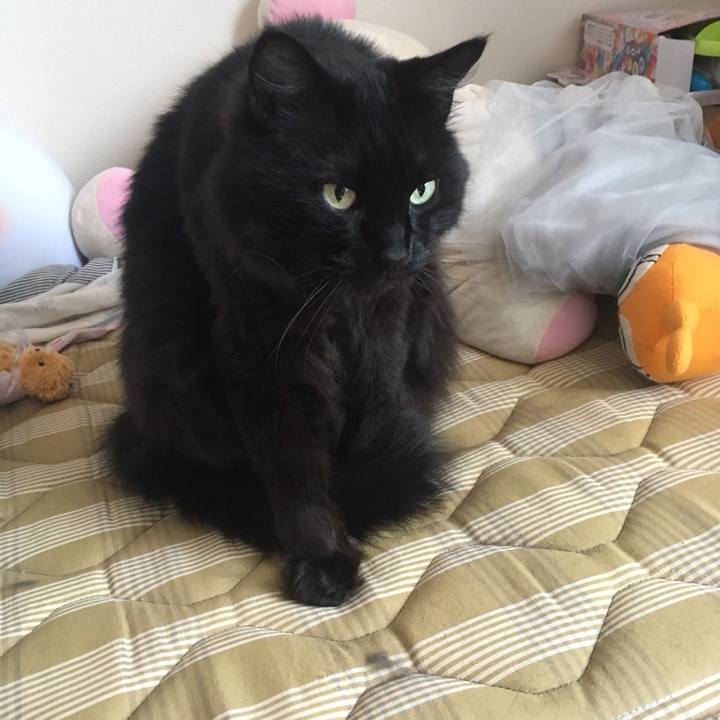 05f8af0b 14a7 44f0 b1a0 b5dbe3433619 1558478273592