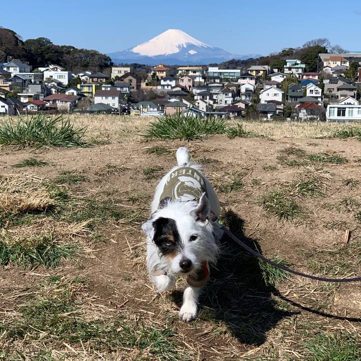 05f8b1a6 1591 4346 919e fad546ef5c09 1710034494722