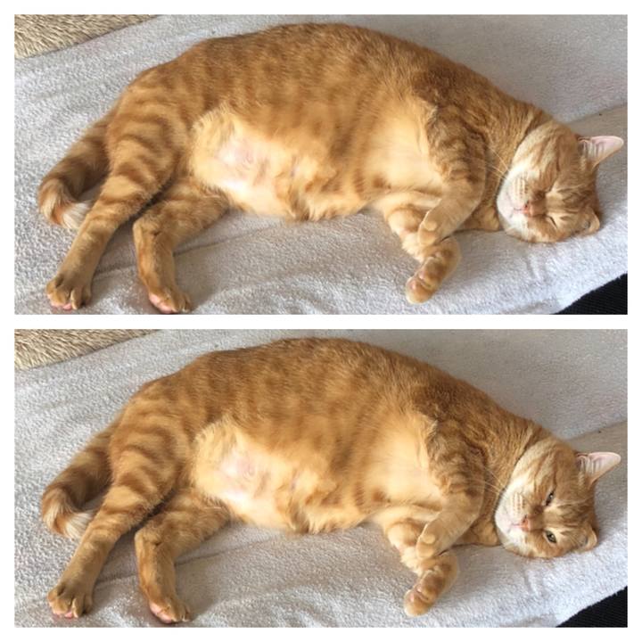 05f8e536 dbb9 4820 8acf b22288c56c0a 1619308693289