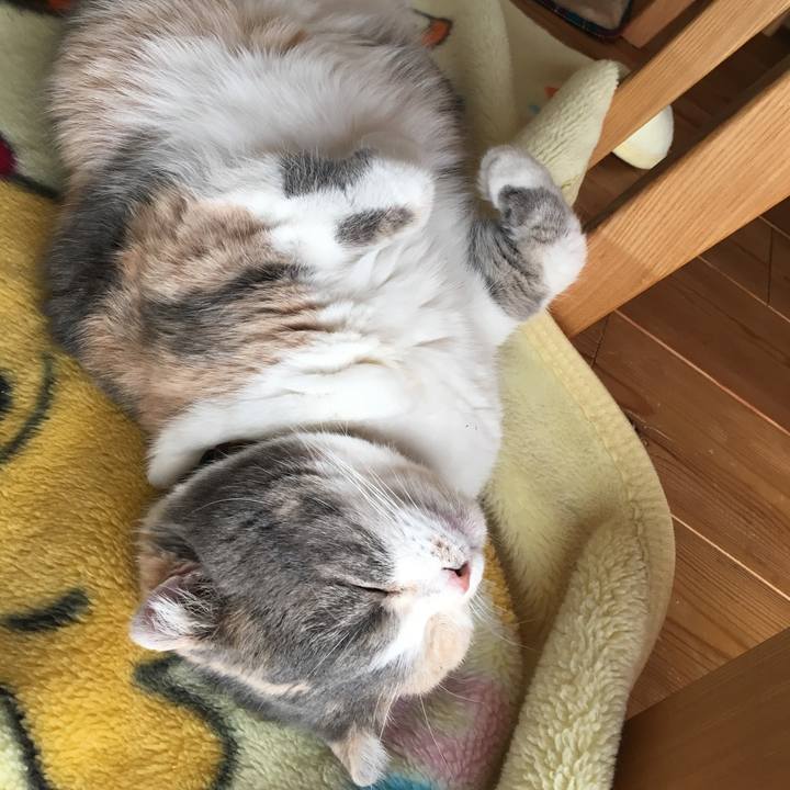 05f8f842 42a2 4d6a aab2 566033aefe47 1545442217917