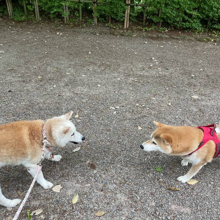 05f91479 c69f 4593 9b45 d84136b9840c 1715174557425