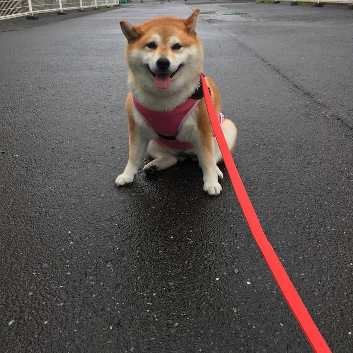 05f91708 63b2 4118 8842 0990bcb06fc4 1595476789129