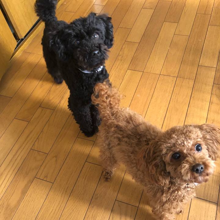 05f92680 e854 4990 b0f4 454a5f8cfb2b 1517704280496