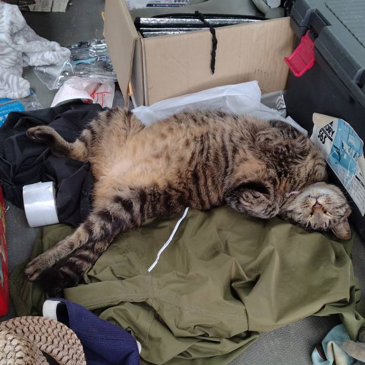 05f92d6a 9c19 47af b650 bf2977b933fb 1722308787724