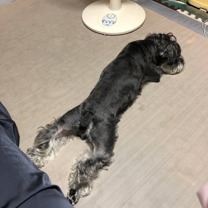 05f94dbe af40 4615 ac53 051d087fce8a 1661506160771