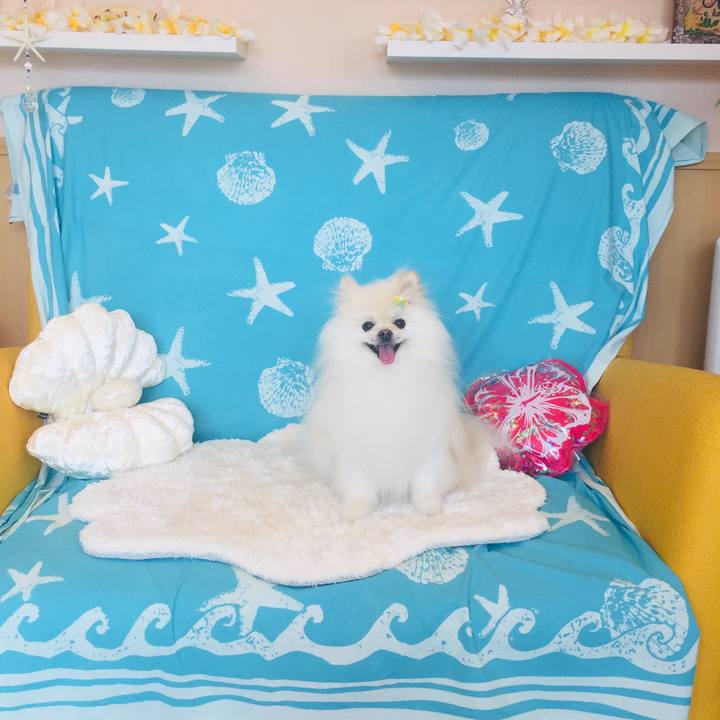 05f95ea1 19b7 466d 82c4 e5072d75a3d2 1595227921261