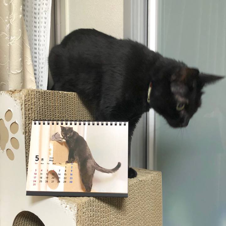 05f98c07 6c24 4dae 8cb4 6fda237058dc 1588857631702