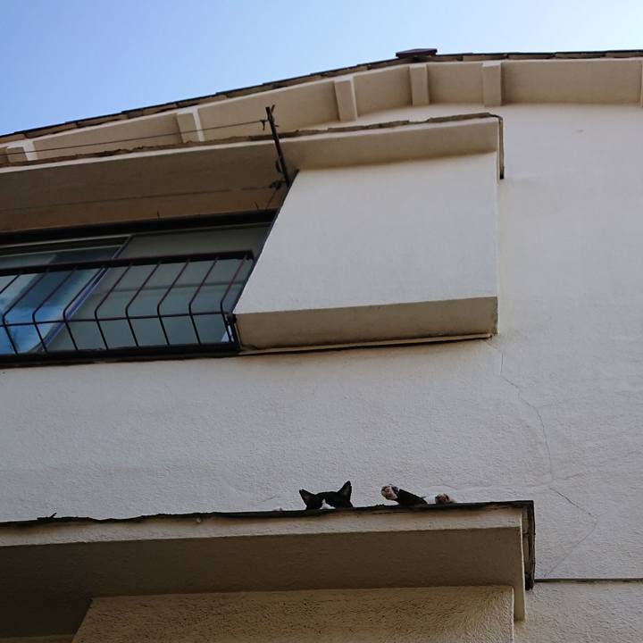 05f9b770 57a4 4205 8b9b 88e57d94508a 1566717443017