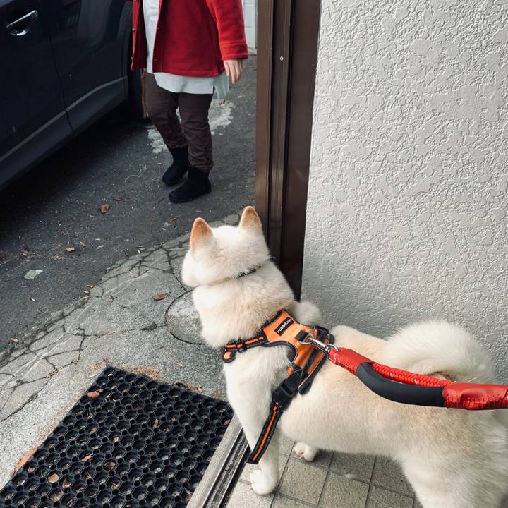 05f9bc3f 5e3d 4eb8 9c68 5f64e0e43205 1669156796443