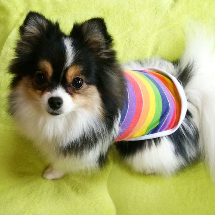 05fa109f 27cf 45d8 a898 0cc8afa73a59 1510615157305