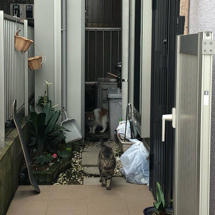 05fa619e 3d6e 4a0d abe2 51bfcc4e1120 1599967470168