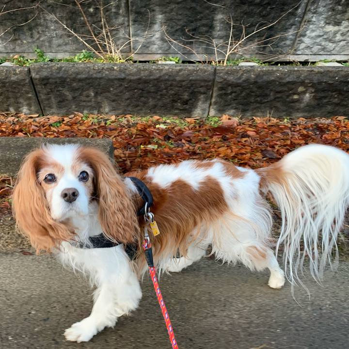 05fa78bc 1ea1 4a20 b1ea 378a7cf9eebe 1578786702908