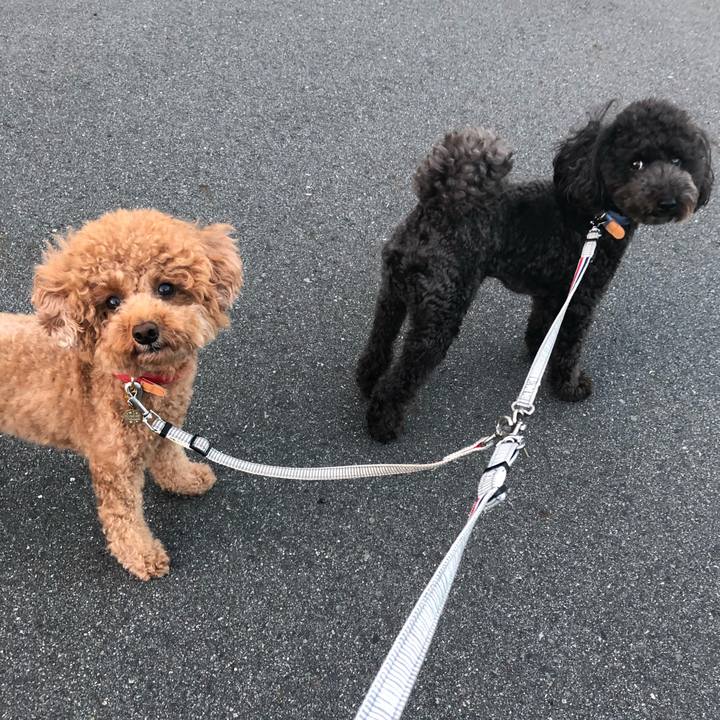 05fa869c 9dc1 4417 9415 ae33b4b5952a 1598394502608