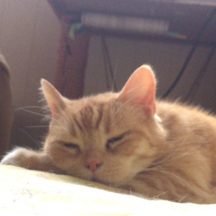 05fab6c4 cc75 4612 be11 d57deb5668c0 1547133848061