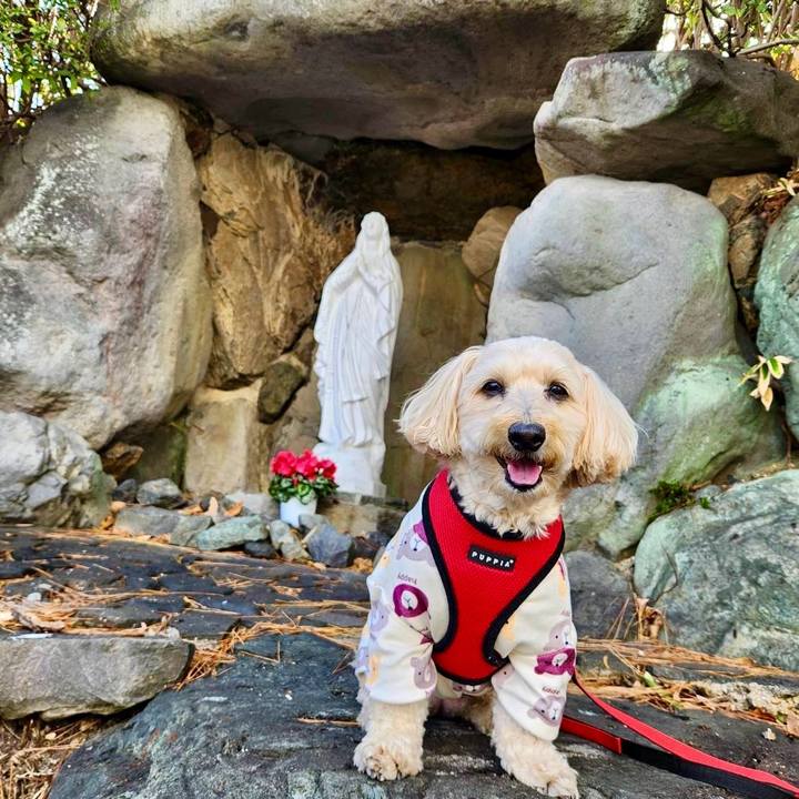 05fb3f13 8bdc 4796 beaf b2e4c9d5c262 1768795268544