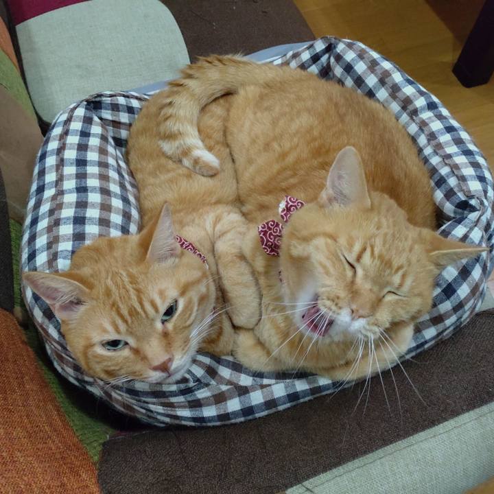 05fb801f a881 4376 9512 c5dceb708e13 1631237603765