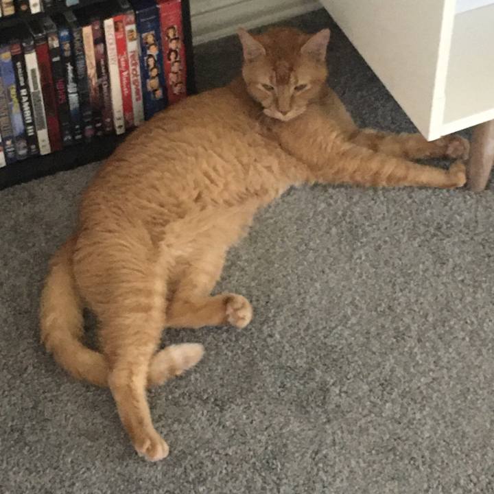 05fbb143 b70c 45e4 9959 c1e4d75a7c2c 1663546297900