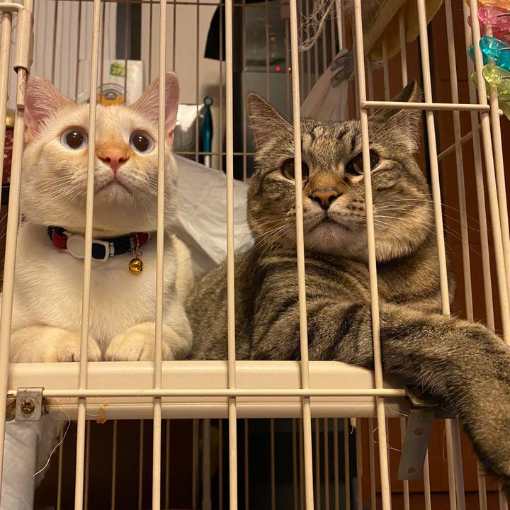 05fbb5ff 1fce 4d3b 8b4a 24095de3a143 1608377718388