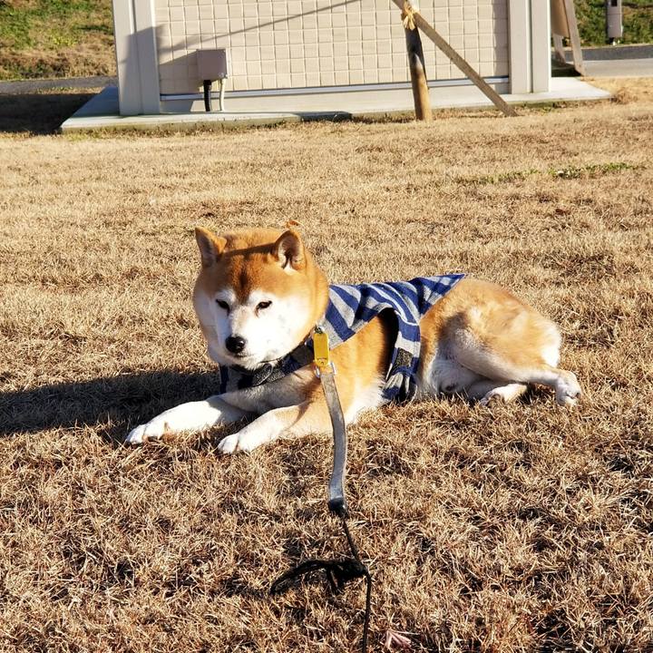 05fbd0ad 2df5 47ba baf4 97bba834b08e 1577079651064