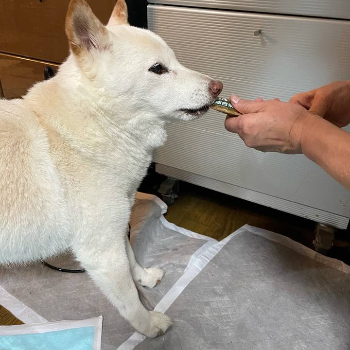 05fbd9c0 ebaf 4a19 8d66 16e0546a71be 1634217090802