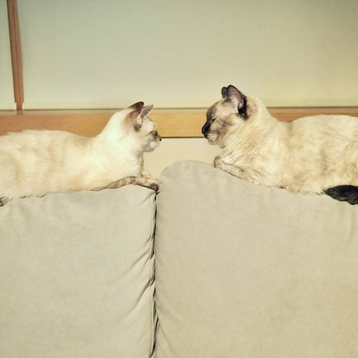 05fbf405 c82e 4dc9 87b5 1b12665169c0 1768137940269