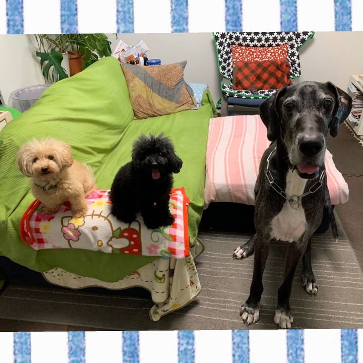 05fc7853 1e44 46e7 8a35 d78efe9a3cef 1600208579033