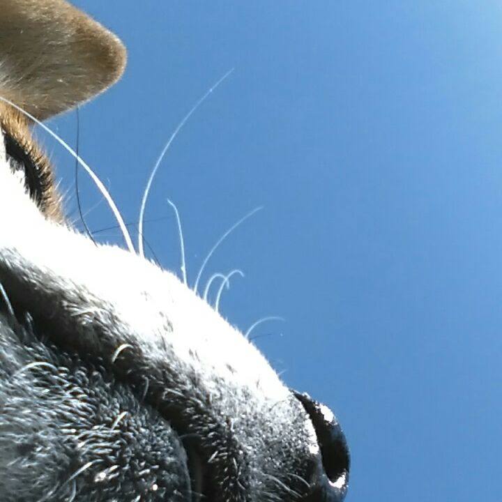 05fc91d0 487f 40d5 8cc2 8b13559e0c81 1526774970319