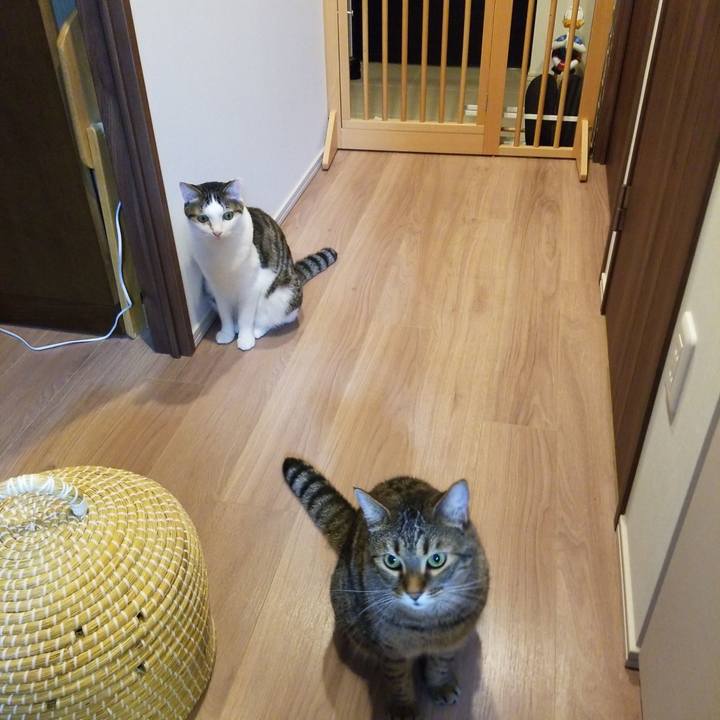 05fc9cd9 b8e3 4a85 b3e2 dfe0c8b5ed71 1565091829009