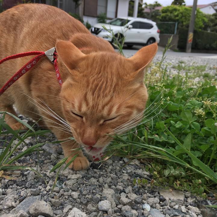 05fcadc6 6996 4995 a538 7f9cdc881eca 1556974293811