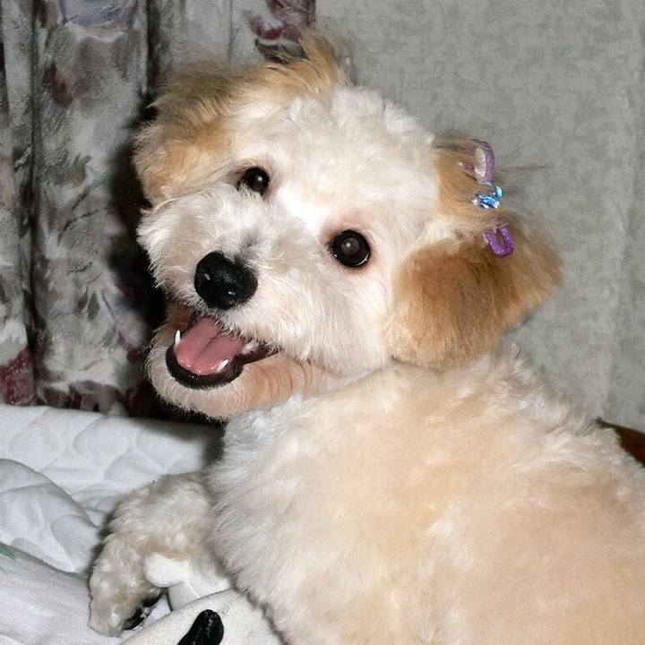 05fcadd4 743b 4aa7 bb77 7bba4b1dd5a6 1535716148958