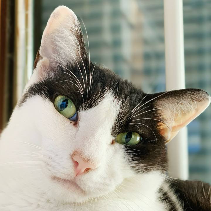 05fce1ba fb15 4f49 bc66 35894054fd1a 1597717619939