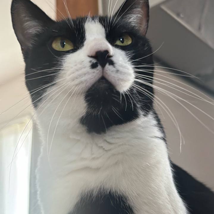 05fd017d 6828 43e5 8c31 074ec92f7dcc 1755659866444