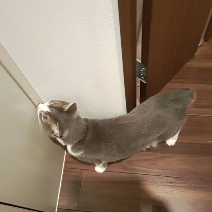 05fd0674 9927 4b19 95b3 09ff79034434 1669674492870