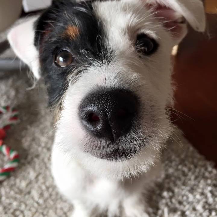 05fd2b37 3e46 48bb 8833 68662acd829d 1679097438816