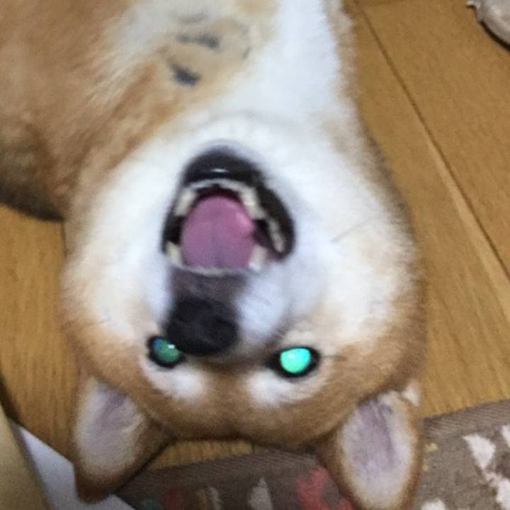 05fd5b60 c278 4216 80ed 86eb03a432fd 1558428280750