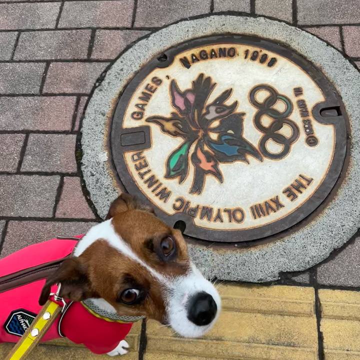 05fd6dd2 e7f4 4390 8bf8 5be0622b6c0f 1643525052402