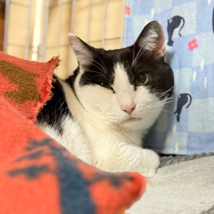 05fd7d00 f7ee 42fa ae1a 17116f269633 1770170954925